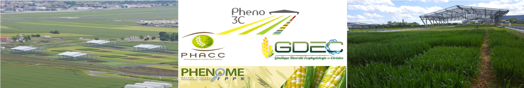 Welcome to the Pheno3C phenotyping platform website
